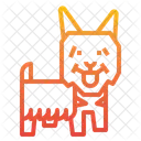 Sedoso Cachorro Animal Ícone
