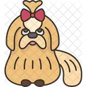Cachorro shih-tzu  Icon