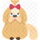 Cachorro shih-tzu  Ícone