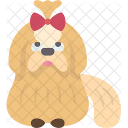 Cachorro shih-tzu  Ícone