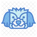 Cachorro shih-tzu  Icon