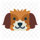 Cachorro shih-tzu  Icon
