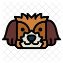 Cachorro shih-tzu  Icon