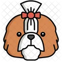 Shih Tzu Cachorro De Estimacao Cachorro Icon