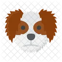 Shih Tzu Cachorro De Estimacao Cachorro Icon