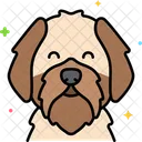 Cachorro shih-tzu  Icon