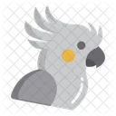 Cacktoo Birds Bird Icon
