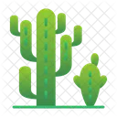 Cactaceae Cactus Cactus Plant Icon