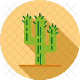 Cacti  Icon