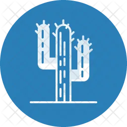 Cacti  Icon