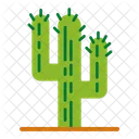 Cacti Cactus Plant Icon