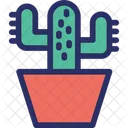 Cacti Cacto Cactus Icon