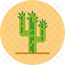 Cacti Cactus Plant Icon