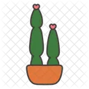 Cacti  Icon