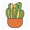 Cacti Plant  Icon