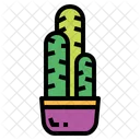 Cacto Botanico Natureza Icon