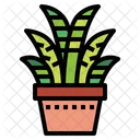 Cacto Botanico Natureza Icon