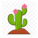 Mexico Pimenta Personagem Ícone