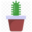 Cacto  Ícone