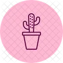 Cacto  Ícone