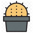 Cacto  Ícone