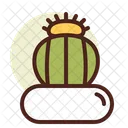 Cacto Icon