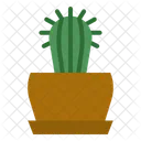 Planta de cacto  Icon