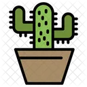 Cactos Pot  Icon