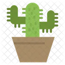 Cactos Nature Pot Icon