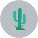 Cactus Planta Desierto Icono