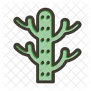 Cactus Plant Nature Icon