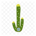 Cactus Nature Desert Icon