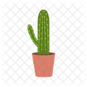 Cactus Nature Desert Icon