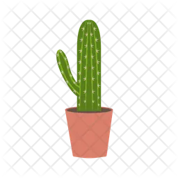 Cactus  Icon