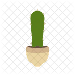 Cactus  Icono