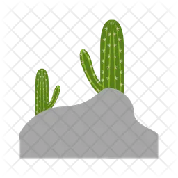 Cactus  Icon