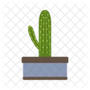Cactus Nature Desert 아이콘