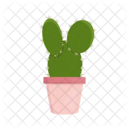 Cactus  Icono