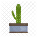Cactus Nature Desert 아이콘
