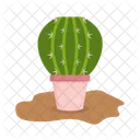 Cactus Nature Desert Icon