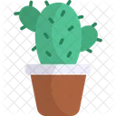 Cactus Cacti Succulent Plant Icon