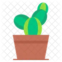 Cactus  Icono