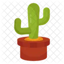 Cactus Succulent Plant Wild Plant 아이콘