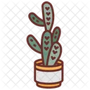 Cactus Cacti Nature Icon