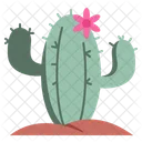 Flat Cactus Icon