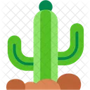 Cactus Plant Desert Icon
