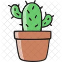 Cactus Nature Cacti Icon