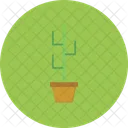 Cactus Plant Nature Icon