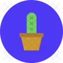 Cactus Plant Nature Icon