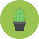 Cactus Plant Nature Icon